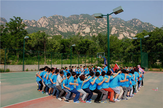 Elektrische drones voor het besproeien van gewassen Makkelijke installatie Drones voor het besproeien van onkruid