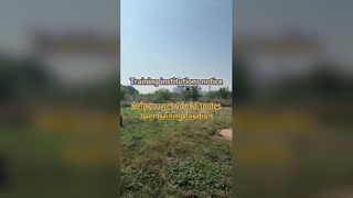 Precisie-gewasspuit-drone lost trainingsgeschillen op